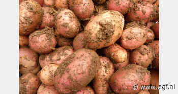 Kazachstan bereikt grootste aardappelexport