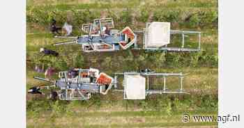 Britse appeltelers voorspellen goede oogst met grotere maten