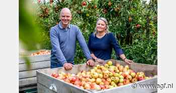 "Toch 30 procent minder Sissired door neerslag en hagel in het voorjaar"