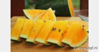 Oranje watermeloenen voor het eerst te koop bij Tesco