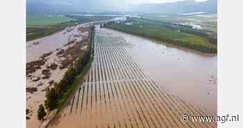 "Citrusexport uit Citrusdal weer op gang, maar met veel uitdagingen"
