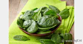 RASFF: Listeria Monocytogenenen in spinazie uit Zweden