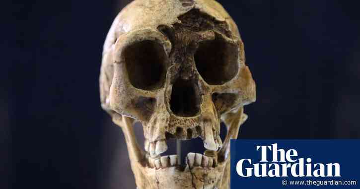 ‘Hobbit’ bone from tiny species of ancient humans found on Indonesian island