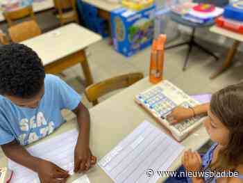 Zomerschool in Niel zet extra in op Nederlandse taal en zelfvertrouwen