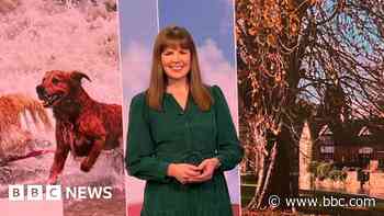 TV presenter recalls 'shaking' after giving man CPR