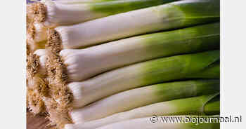 Meer dan elke vierde kilo verkochte prei was biologisch
