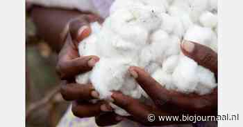 Yumeko in 2023 uitgebreid naar 4 nieuwe markten binnen Europa