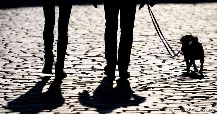 Hunde bei Wärme im Auto gelassen – Zeugen befreien die Tiere