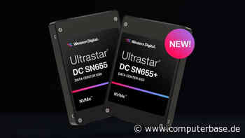 Western Digital zum FMS 2024: 128-TB-SSD, 8-TB-SD-Karte oder 135 GB/s im Server