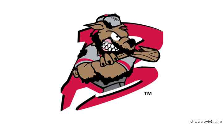 Batavia Muckdogs to host 'Battle of the Badges' charity softball game