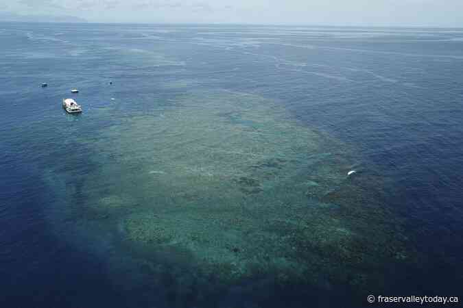 Great Barrier Reef waters were hottest in 400 years over the past decade, study finds