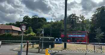 Suspected drug driver bailed as girl, 9, dies in hospital after Bexleyheath bus crash