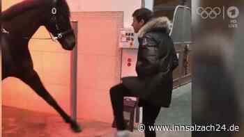 Thomas Müller und Pferd stehlen Fußballerinnen während ARD-Übertragung die Show