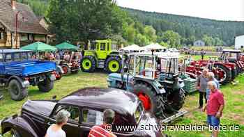 Heimatmuseum Beihingen: Aktionstag mit Handwerk und Oldtimern