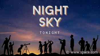 Night sky for tonight: Visible planets, stars and more in this evening's sky