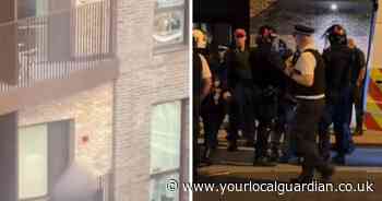 Animal cruelty suspect arrested after ‘throwing objects at officers’ in Croydon