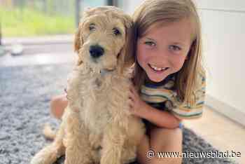 Lias (8) maakt liedje over zijn chronische ziekte en brengt het uit tijdens benefiet: “Willen zo andere zieke mensen steunen”