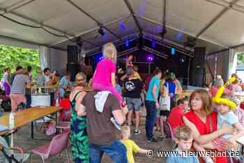 Optredens, rommelmarkt en koers op rollen tijdens Vremde Feest
