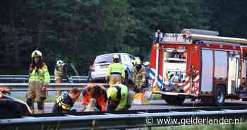 Spookrijder veroorzaakt ernstig ongeval; hoe vaak komt dat voor? En wie zijn het?