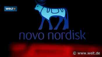 Minus 6 Prozent trotz Top-Ergebnis – das steckt hinter Novo Nordisks Erfolgs-Paradox