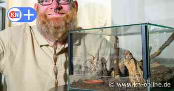 Nach Fund in Kiel: So geht es der Spinne aus dem Supermarkt in Gaarden