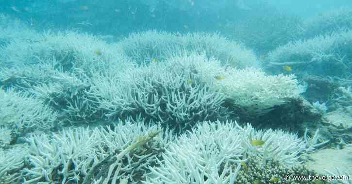 The Great Barrier Reef faces its biggest threat in centuries