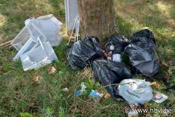 Sluikstorter dumpt afval op middenberm van Canadastraat in Houthalen-Oost