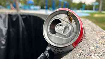 What to keep in mind if you have wasps in your yard