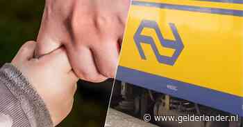 Hoogzwangere vrouw verliest 2-jarig zoontje in de trein, ventje legt flinke reis af