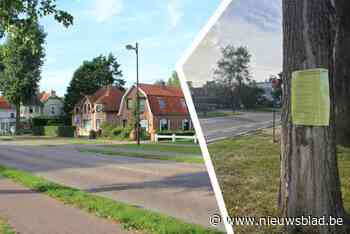 Gemeente zet herinrichting Leopold II-Laan ‘on hold’ na protest: “Verkeerde manier van handelen”