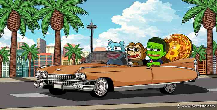 New DOGE Rival Has Sent The Market Into A Frenzy With Its Untouchable 310% Gains