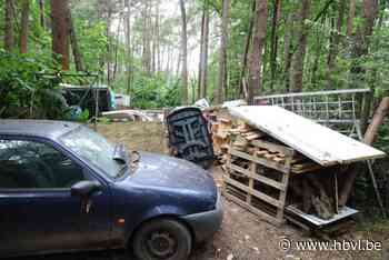 Krakers bouwen enorm stort midden in Lanklaarse bossen