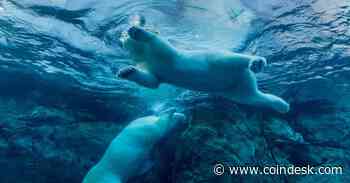 Crypto Turns Broadly Lower in U.S. Afternoon Trade as Stocks Give Away Gains