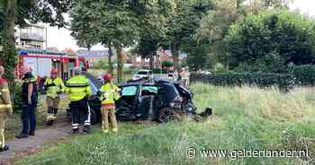 Ravage nadat automobilist lantaarnpaal en boom ramt op in Doetinchem
