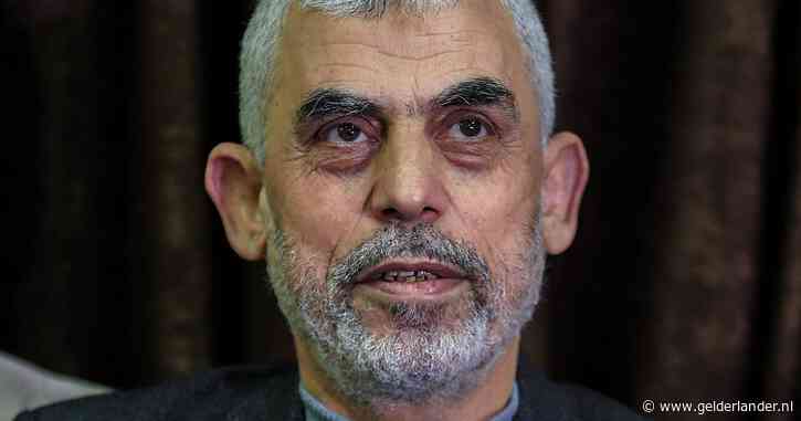 LIVE Midden-Oosten | Stafchef Israël belooft eliminatie nieuwe Hamas-leider, ‘Iran vraagt om luchtruim te mijden’