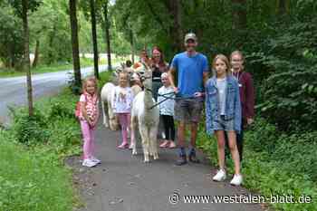 Vlotho: Ferienspielkinder lernen Umgang mit Alpakas