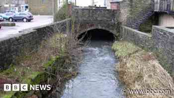 Pair in hospital after three rescued from river