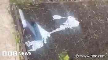Vandalised Muslim graves treated as hate crime