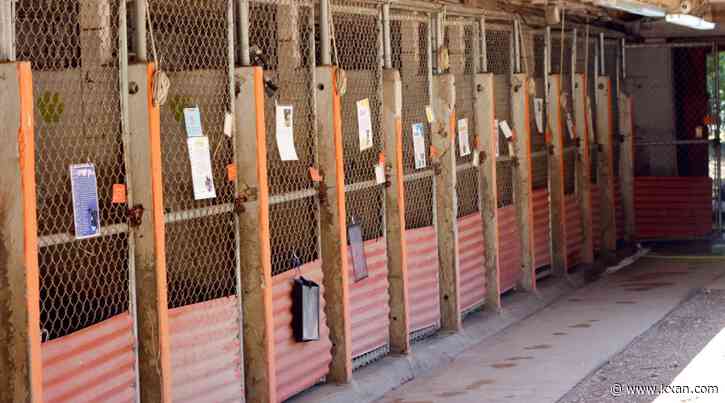 Austin Pets Alive! seeks donations to upgrade hot kennels