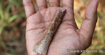 Indonesien: Winziger Armknochen gibt Einblicke in Ursprünge von Zwergenmenschen