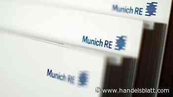 Rückversicherung: Münchener Rück meldet Rekordzahlen – Nettogewinn steigt um 55 Prozent