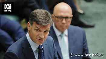 Dutton and Taylor at odds on taxpayer subsidies for critical minerals