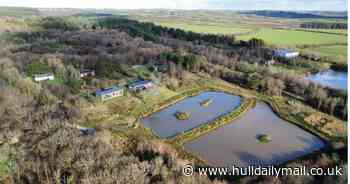 Angler's 'rare' dream lakeside plot set in 50 acres of woodland could be yours - for £125K