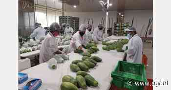 Panafruit breidt teelt uit naar Costa Rica