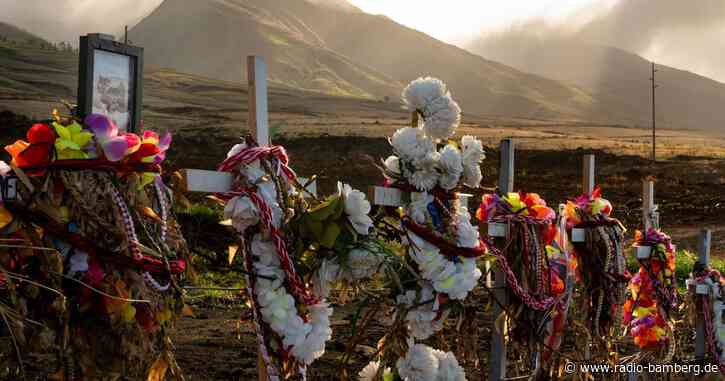 Inferno im Paradies: Jahrestag der tödlichen Brände auf Maui
