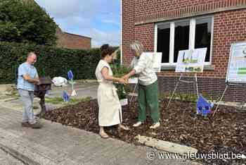 Nieuwe campagne moet voor minder verharde voortuinen zorgen: “Grijze straten zijn saai om in te wonen”