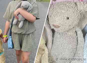 Wanhopige oproep Ierse ouders: breng konijnenknuffel terug naar ernstig ziek meisje
