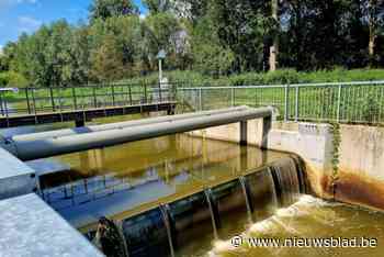 Waarom het levensgevaarlijk is om in stuwconstructie zoals in Ruisbroek te zwemmen: “Dit had erger kunnen aflopen”