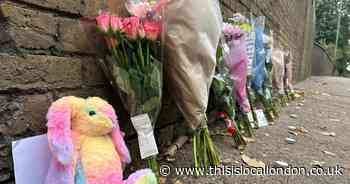 Heartbreaking tributes paid to ‘little princess’, 9, killed in Bexleyheath bus crash