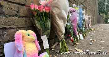Heartbreaking tributes paid to ‘little princess’, 9, killed in Bexleyheath bus crash
